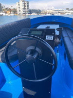 Fantail 217