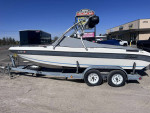 1995 seawirl
