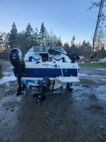 1998 bayliner 1952