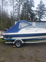 1998 bayliner 1952