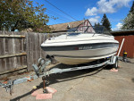 Viking 17 ft