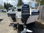 Viking 17 ft