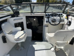 Viking 17 ft