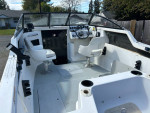 Viking 17 ft