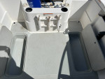 Viking 17 ft