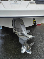 2007 Regal 1900 Volvo inboard