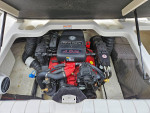 2007 Regal 1900 Volvo inboard