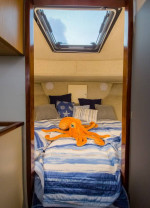 Camano Troll 31