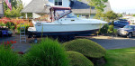 vintage 1982 zeta 28'