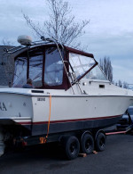 vintage 1982 zeta 28'