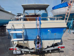 MARLIN 19' CUDDY HARD TOP