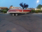 Searay