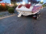 Searay