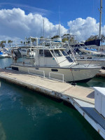 Farallon 25