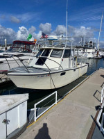 Farallon 25