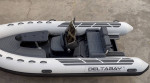 ***New 2023 Delta Bay 500 LUX RIB ***