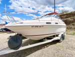 1994 Sea Ray 230 Sundancer