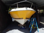 Bayliner cuddycabin