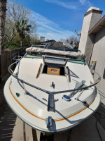 Bayliner cuddycabin