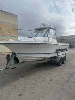 1999 Bayliner Trophy 22' Alaskan