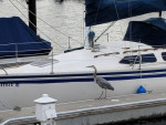Boat share available - 28' foot sailboat docked in the SF Marina