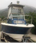 1984 20ft Regal Center Console