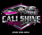 Professional polishing and ceramic coating