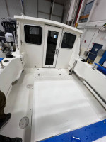 2009 SeaSport 22'