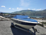 2010 Bayliner Discovery 195