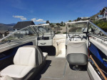 2010 Bayliner Discovery 195