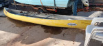 Canoe