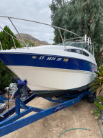 2006 bayliner 245