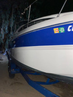 2006 bayliner 245