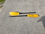 Werner Paddle