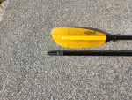 Werner Paddle
