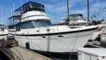 Rare Golden Age Gulfstar 38 LRMY