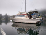 28 foot fly bridge Bayliner