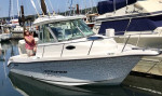 2004 Seaswirl Striper 2101
