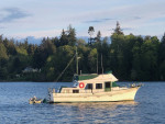 Hershine trawler