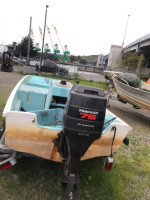 1967 Boston whaler 17 ft