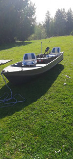 12' Aluminum boat with motor