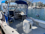 1994 Wellcraft Coastal