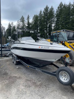 246 Reinell Ski Wakeboard Boat