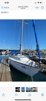 Islander 36