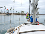 Catalina 30 (REDUCED!!)