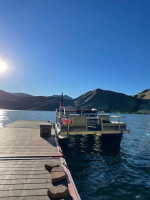 Pontoon boat
