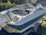 1995 18' Bayliner Fish & Ski Olympic Edition Boat