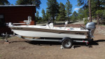 17 foot Mako Pro-Skiff