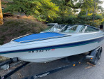Reinell Ski Boat V8