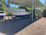 Sea swirl Striper 2301